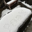 빽다방서귀포성읍