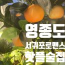 서귀포로맨스영종 네이버블로그
