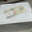 창억떡 호박 인절미 솔직 후기! 냉동보관, 자연해동 방법