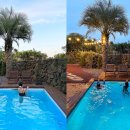 판포2060 이미지