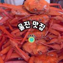 일원상회 | 울진 맛집,숙소 내돈내산 리스트<울진대게와 붉은대게 축제>일정,주차-후포항 일원