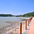 황금들녘펜션민박 이미지