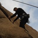 청원스크랩 이미지