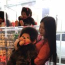 짱인형shop | [압구정]몬치치 팝업이 끝나고도 계속되는 몬치치샵 “캐리마켓 신사”에 재방문한 후기❤️