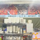 바다장어산꼼장어 이미지