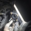 하이카 가로수점 이미지