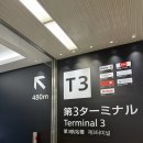 오미야게 | 도쿄 나리타공항 제3터미널 면세점ㅣ과자 오미야게 기념품 추천(샤넬 헤어미스트 가격)