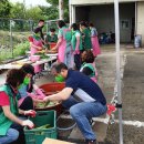 성거읍행정복지센터 이미지