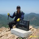 입실약국 이미지