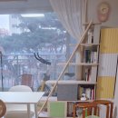 이리남창초 옐로카펫 | 일룸 캐스터네츠 책장 캣타워 후기(내돈내산): 찰리의 캣타워 적응기