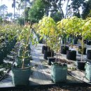 한구농장 이미지