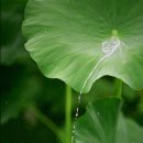 자연누리 이미지