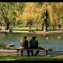 ♡ 굿 윌 헌팅(Good Will Hunting) / 추억의영화 이미지