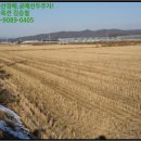 동천리보건진료소 이미지