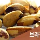 참좋은식품 이미지