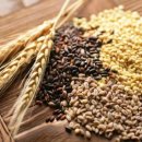 약초약국 이미지