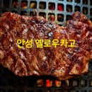 안성한우 | 안성 한우 맛집 옐로우카고 후기