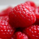 에스바디짐 이미지