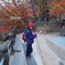 나래온 Daum카페