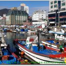 옥포항(조라) 이미지