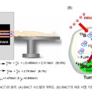 교모세포종 환자의 붕소중성자포획치료(BNCT)와 일반적인 방사선 치료와 차이점 이미지