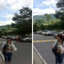 동인동물병원 이미지