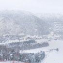 용평리조트 스키장 이미지