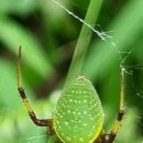 운주면 행정복지센터 이미지