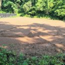 중로 1-42호선 이미지