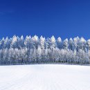 비에이(B/A) 이미지