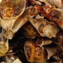 숫골농장 이미지