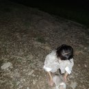 의령 리치 리치 축제~ 고구마 판매 이미지