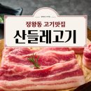 산들레고기