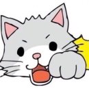 지엘 핏 이미지