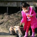 올래농장 이미지