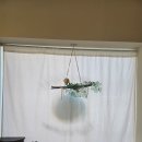 검은들농장 | 토요일 오전 아이들과 타타스베이글에서 시골의 여유를 즐겨보다