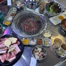 대구 종로 맛집 산토리하이볼이 있는, 김해뒷고기