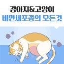 고강동물병원 이미지