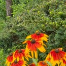 밀가마국시집 이미지