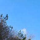 준이축산