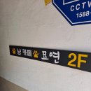 냥카페묘연