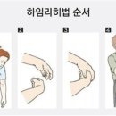 법대로 이미지