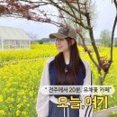 오늘여기 | 김제 유채꽃 카페 추천, 4월에 꼭 가봐야 할 “오늘여기” 후기