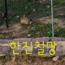 한진농장 이미지