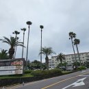 켄싱턴 리조트 서귀포(Kensington Resort Seogwipo) 이미지