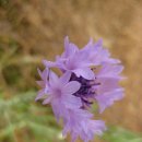 자전거도로 옆 이미지