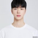 하울 이미지