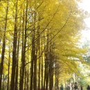 비아트론 이미지