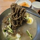 부평대로63번길 71번길 | 부평 냉면 맛집 블루리본 물냉면 내돈내산 솔직후기