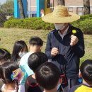 양당초등학교 이미지